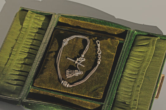 Sterling silver albertina chain with dog clip and t bar