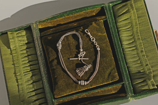 Antique Victorian sterling silver albertina chain with tassel in antique jewellery box