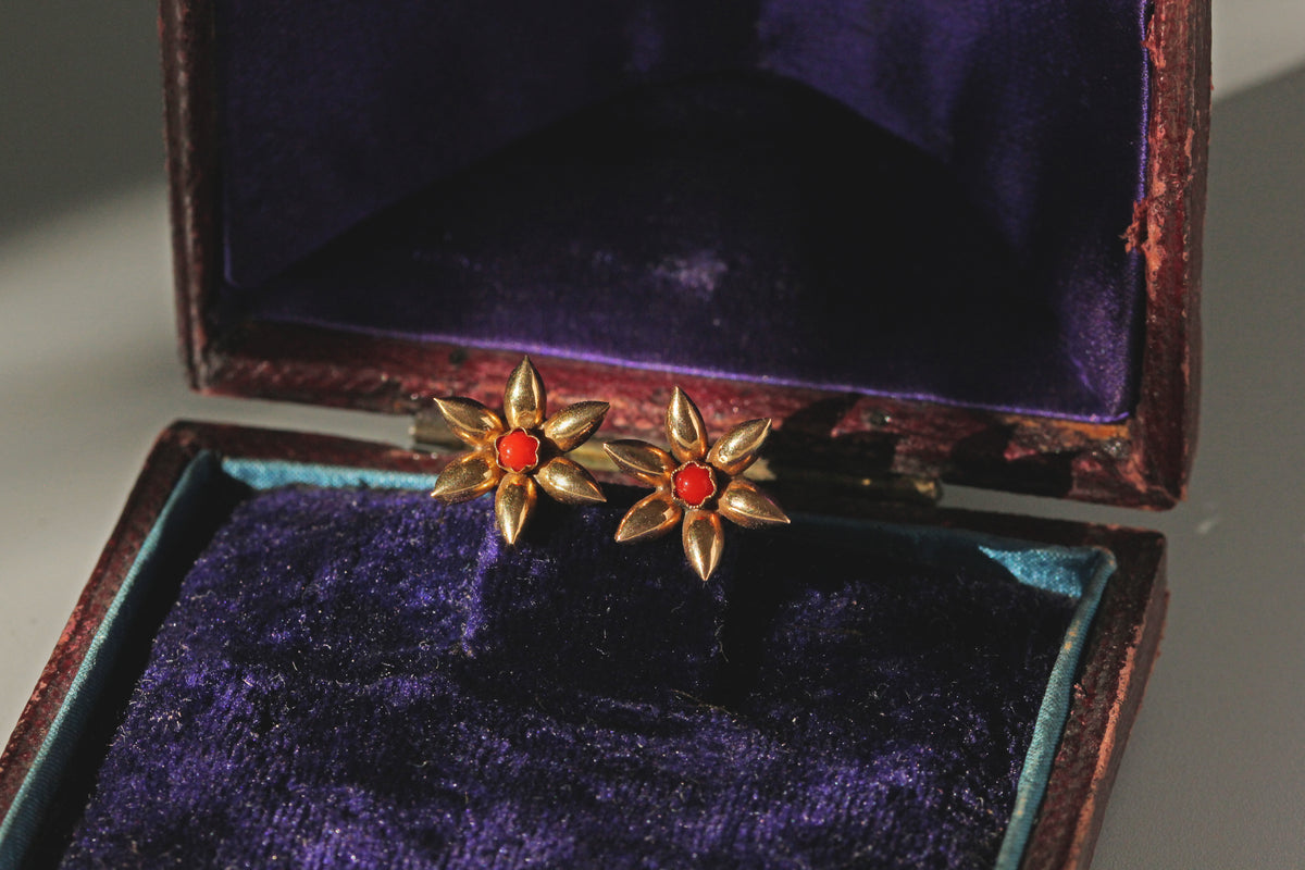 Antique Victorian coral flower stud earrings in 18 carat gold in antique box