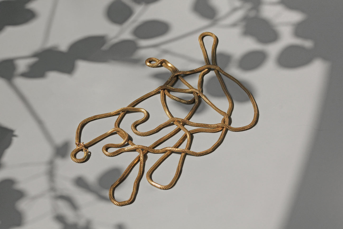 Antique long guard muff chain, snake link in gold
