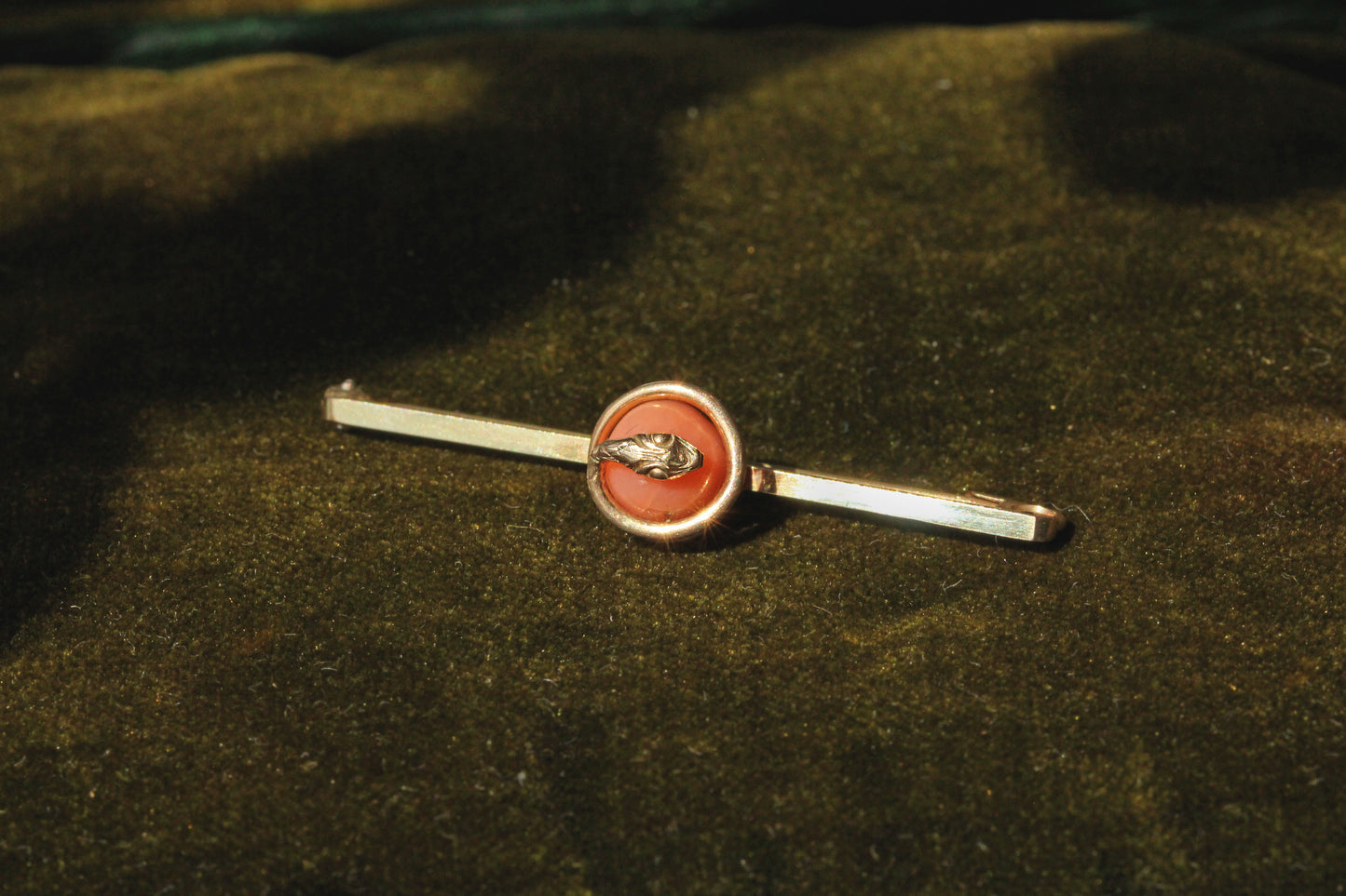 Antique victorian coral serpent snake brooch, in 9 carat gold