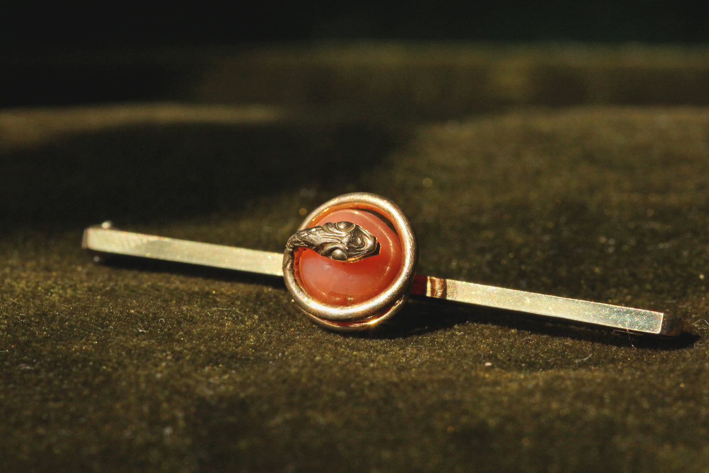 Antique Victorian coral serpent snake brooch in 9 carat gold snakes head view