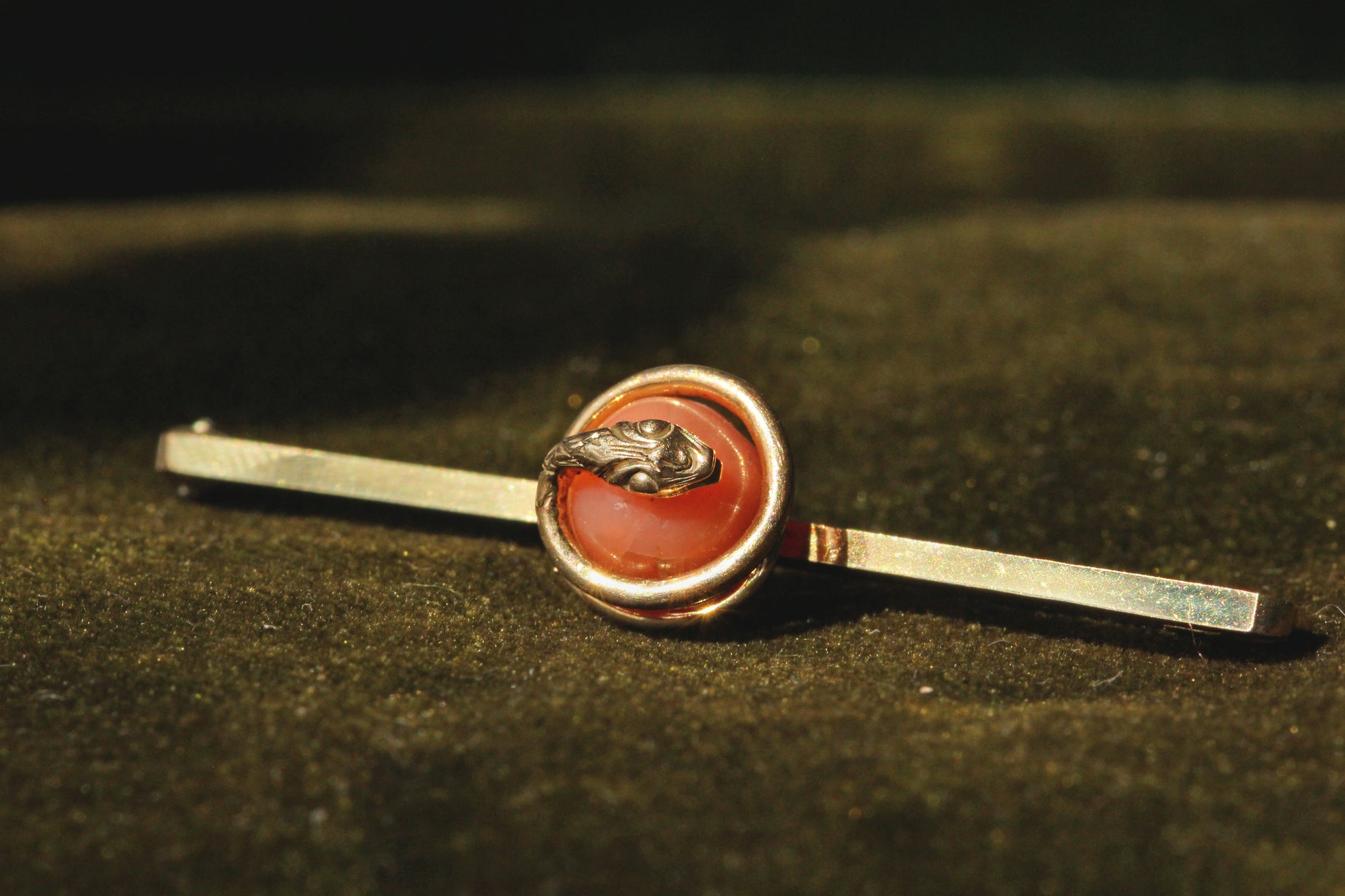 Antique Victorian coral serpent snake brooch in 9 carat gold snakes head view