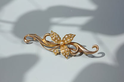 Antique seed pearl floral ivy brooch, in 15ct gold