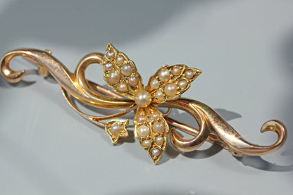 Antique seed pearl floral ivy brooch, in 15ct gold
