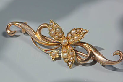 Antique seed pearl floral ivy brooch, in 15ct gold