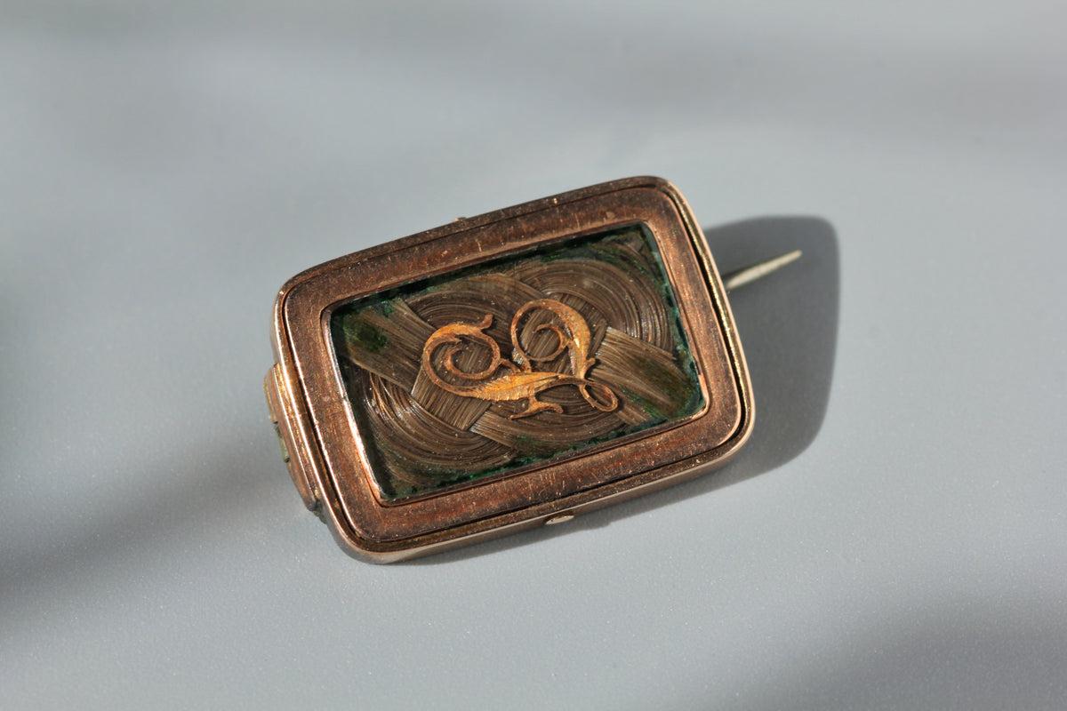 Antique victorian hairwork and silhouette mourning brooch, in 9ct gold