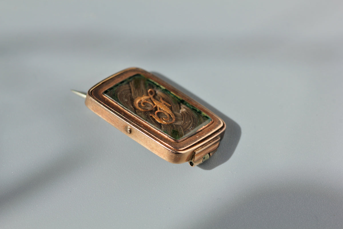 Antique victorian hairwork and silhouette mourning brooch, in 9ct gold